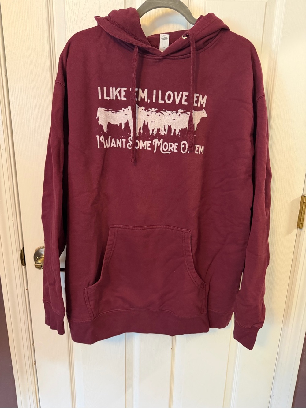 Women’s Maroon Hoodie Sweatshirt with Graphic Print